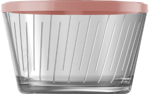 Tigela Amazon C/ Tampa 670ml Cores Sortidas Nadir Ref 4c049