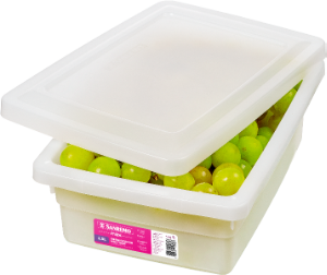 Organizador Multiuso Retangular Max C/ Tampa 2,5l (C25,8x L17,8x A8,7cm) Banca Sanremo Ref Sr2502/1