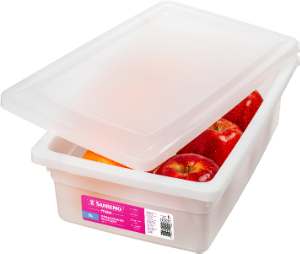 Organizador Multiuso Retangular Max C/ Tampa 5l (C33x L21,8x A10,5cm) Branco Sanremo Ref Sr2505/1