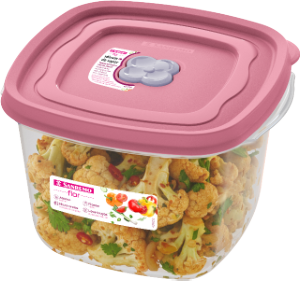 Pote Quadrado Flor 1,6l Rosa Do Himalaia Sanremo Ref Sr711/57n