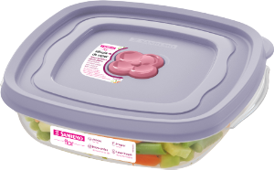 Pote Sanduiche Flor Quadrado 664ml Lavanda Sanremo Ref Sr714/5n